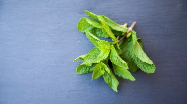 garnishing-instructions-image